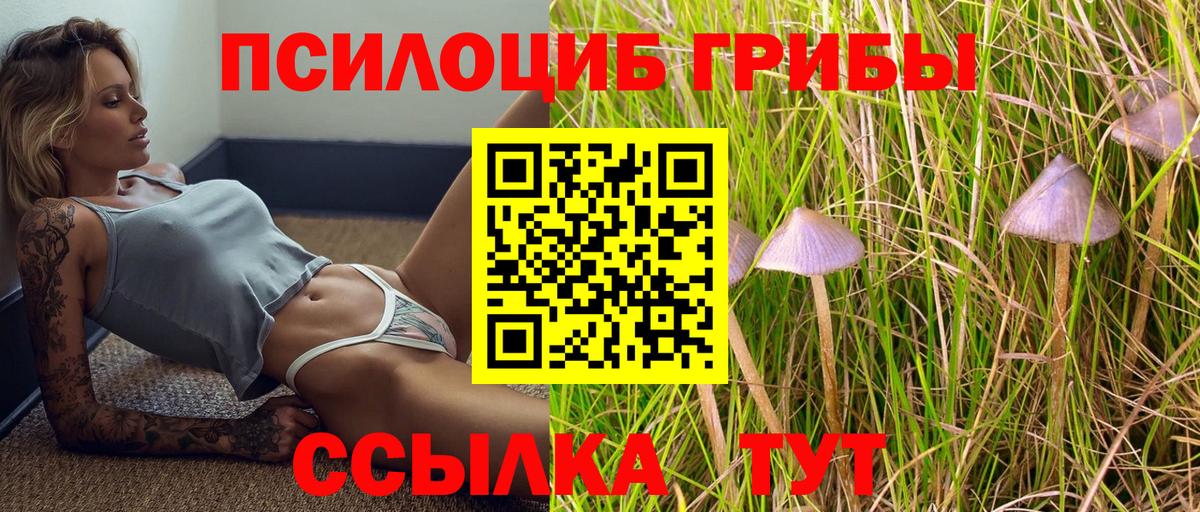 Галлюциногенные грибы GOLDEN TEACHER  Вход с VPN  Галлюциногенные грибы MAGIC MUSHROOMS  Борисоглебск 